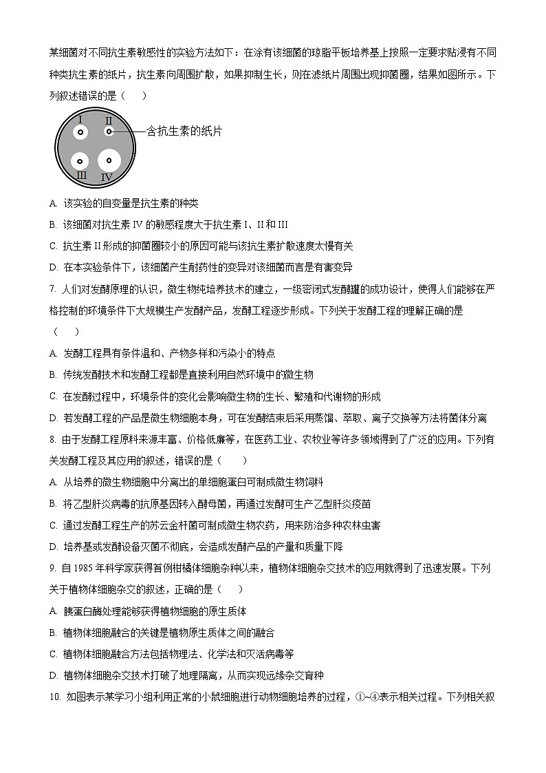 河南省洛阳市强基联盟2024-2025学年高二下学期3月月考生物试题（原卷版+解析版）第3页