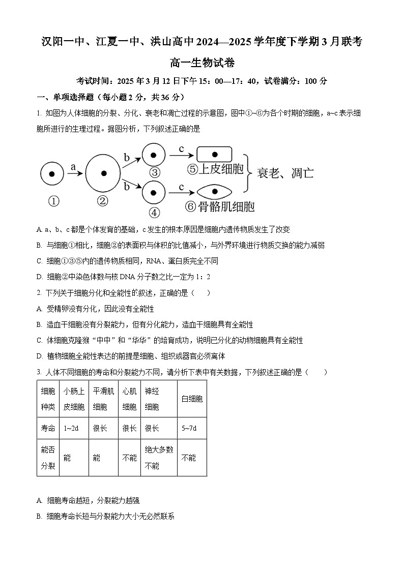 湖北省汉阳一中、江夏一中、洪山高中2024-2025学年高一下学期3月联考生物试卷（原卷版+解析版）第1页