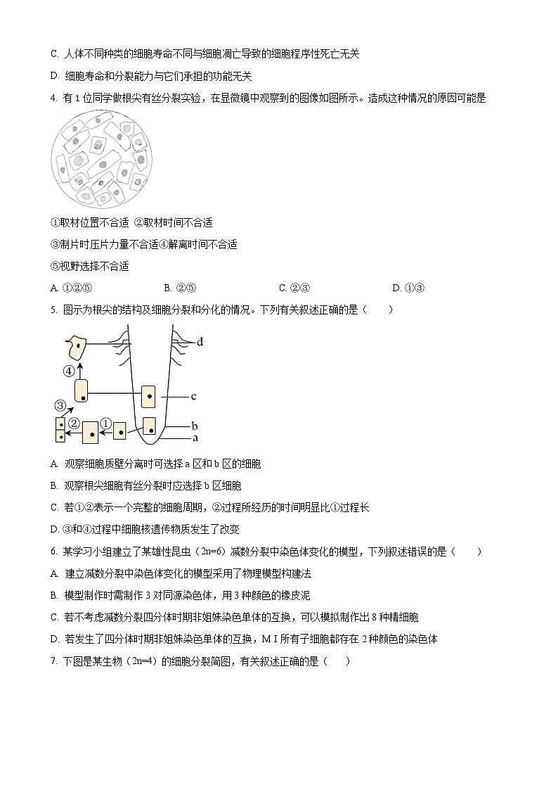 湖北省汉阳一中、江夏一中、洪山高中2024-2025学年高一下学期3月联考生物试卷（原卷版+解析版）第2页