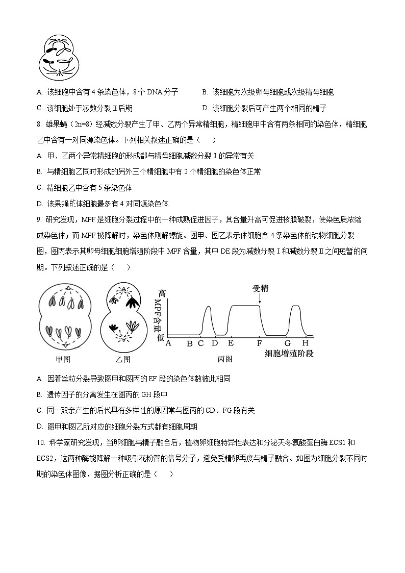 湖北省汉阳一中、江夏一中、洪山高中2024-2025学年高一下学期3月联考生物试卷（原卷版+解析版）第3页