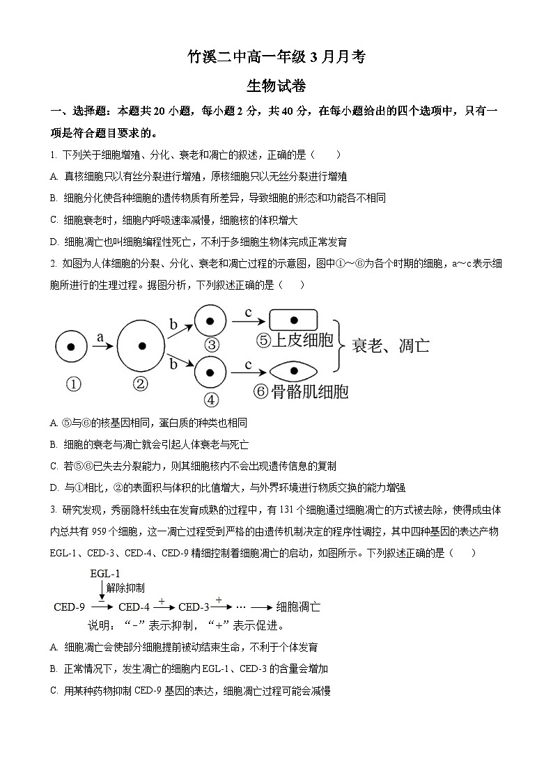 湖北省十堰市竹溪县第二高级中学2024-2025学年高一下学期3月月考生物试卷（原卷版+解析版）第1页