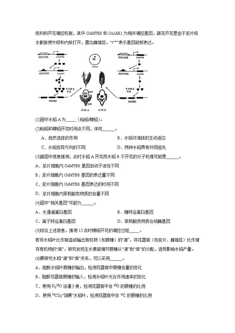 2025届上海市浦东新区高三二模生物试题（无答案）第3页