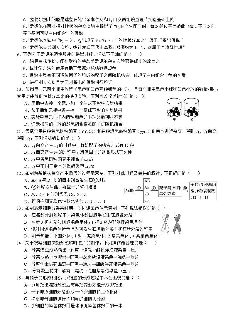 南充高中高2024级第二学期第一次月考 生物 2025.3.26第2页