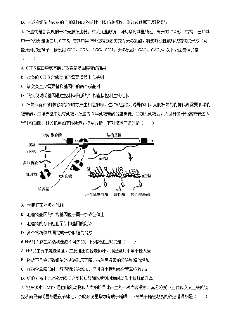 东北三省三校（哈尔滨师大附中、东北师大附中、辽宁省实验中学）2025届高三下学期一模生物试题（原卷版）第2页