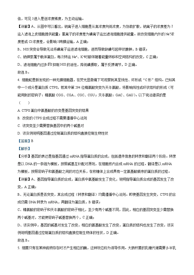 东北三省三校（哈尔滨师大附中、东北师大附中、辽宁省实验中学）2025届高三下学期一模生物试题 Word版含解析第3页