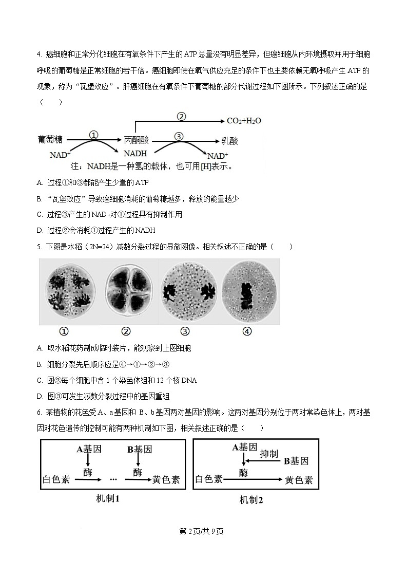 黑龙江省六校联考2024-2025学年高三上学期1月期末生物试卷（原卷版）第2页