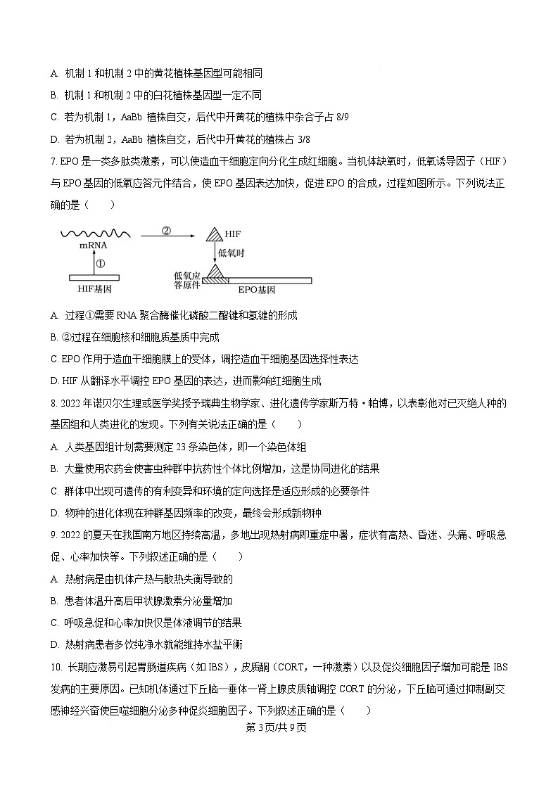 黑龙江省六校联考2024-2025学年高三上学期1月期末生物试卷（原卷版）第3页