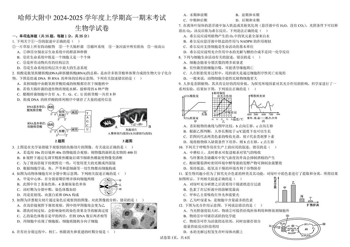 黑龙江省哈尔滨师范大学附属中学2024-2025学年高一上学期1月期末生物试题 扫描版无答案第1页