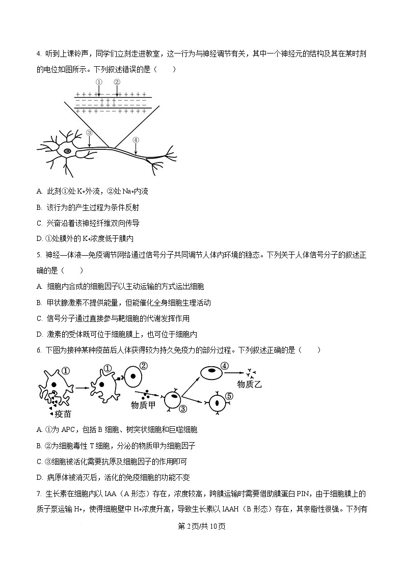 黑龙江省哈尔滨市重点三校（一中、六中、九中）2024-2025学年高三上学期期末联考生物试题（原卷版）第2页