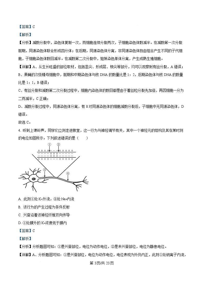 黑龙江省哈尔滨市重点三校（一中、六中、九中）2024-2025学年高三上学期期末联考生物试题 Word版含解析第3页