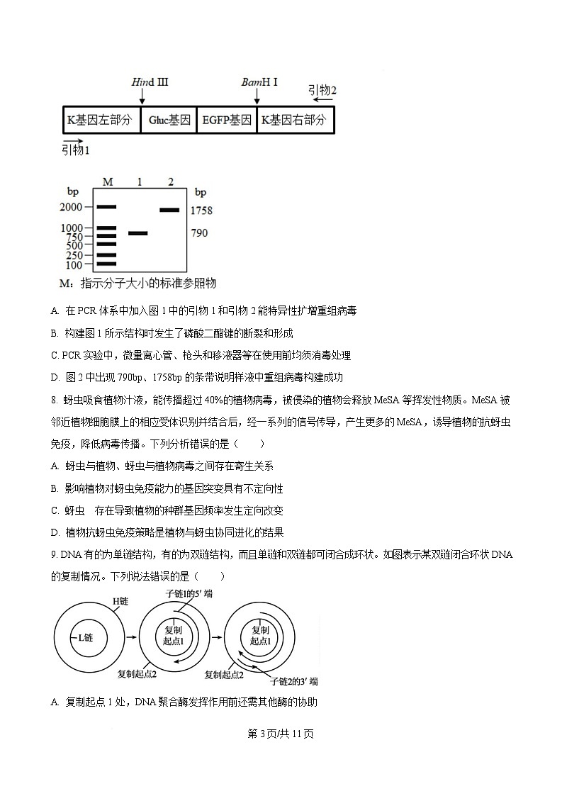 黑龙江省名校协作体2025届高三下学期一模考试生物试卷（原卷版）第3页