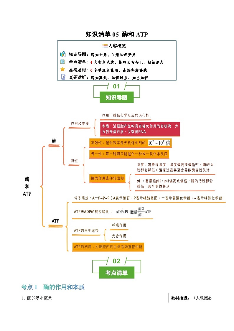 知识清单05+酶和ATP（4大考点+6个易错点）-2025年高考生物一轮复习知识清单第1页