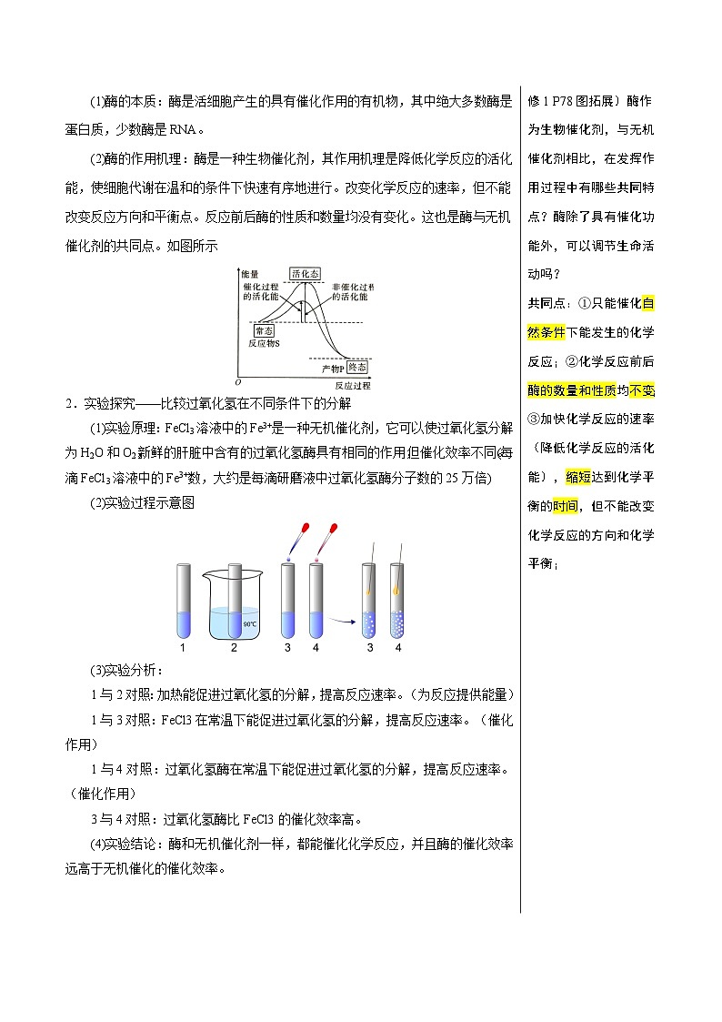 知识清单05+酶和ATP（4大考点+6个易错点）-2025年高考生物一轮复习知识清单第2页