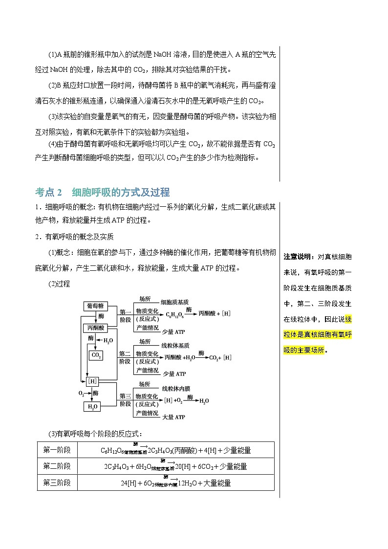 知识清单06+呼吸作用（4大考点+5个易错点）-2025年高考生物一轮复习知识清单第3页