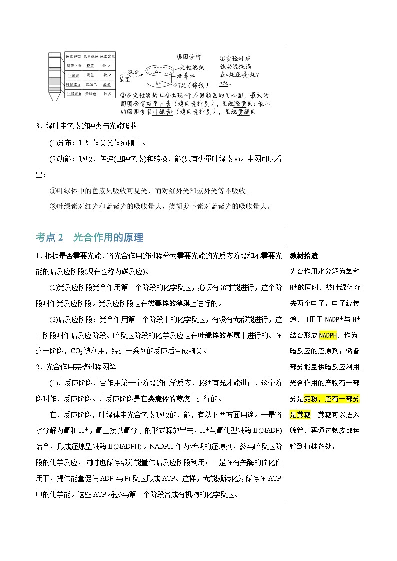 知识清单07+光合作用（4大考点+6个易错点）-2025年高考生物一轮复习知识清单第3页