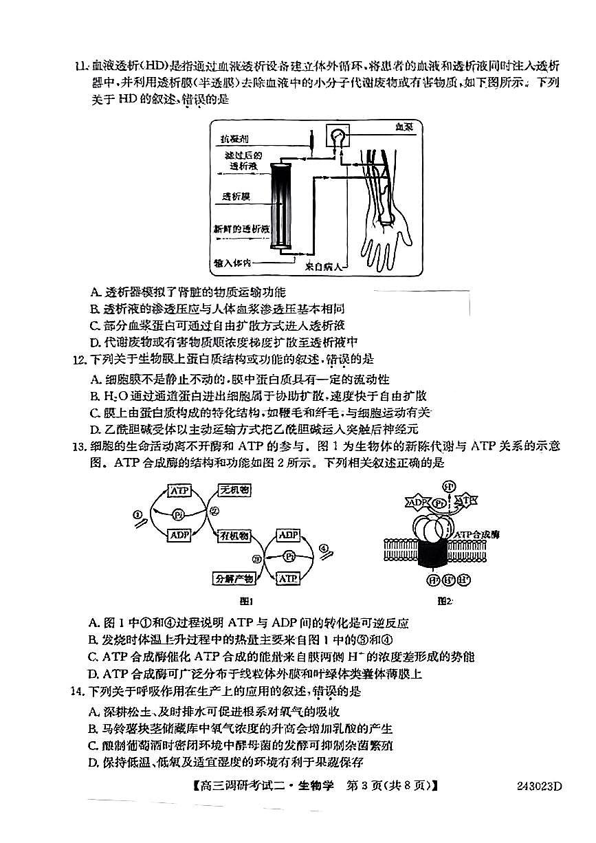 2024届河南省TOP二十名校高三上学期调研考试（二）-生物试题（含答案）第3页