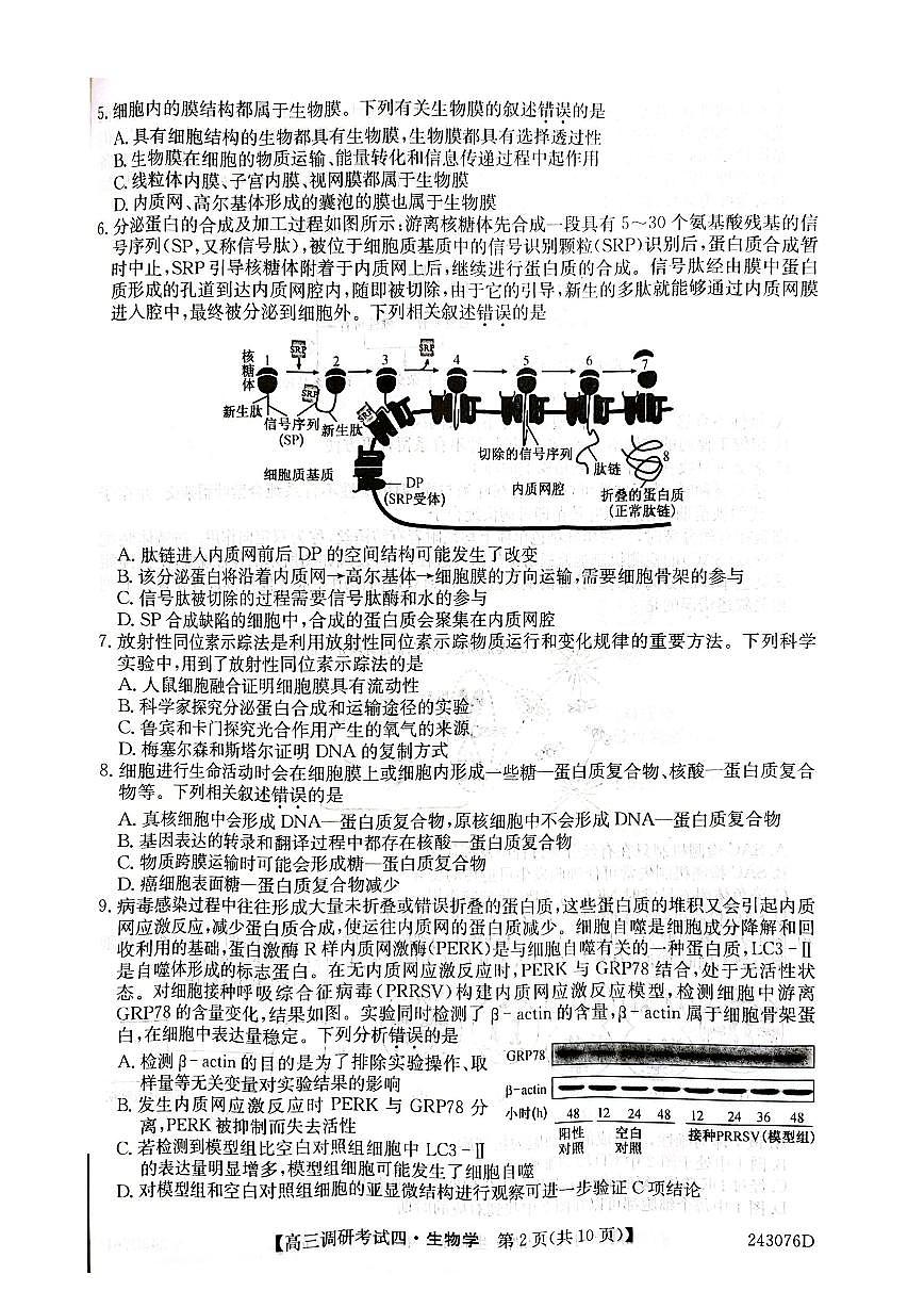 2024届河南省TOP二十名校高三上学期调研考试（四）-生物试题（含答案）第2页