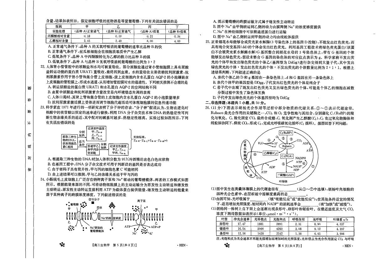 2024届河南省高三上学期11月联考试卷-生物试题（含答案）第3页