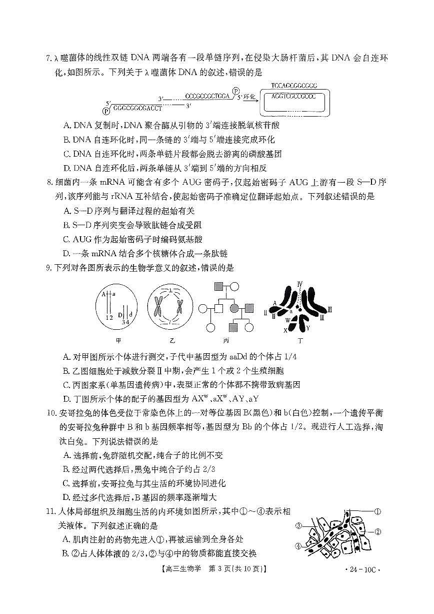 2024届河南省高三上学期开学考试-生物试题（含答案）第3页