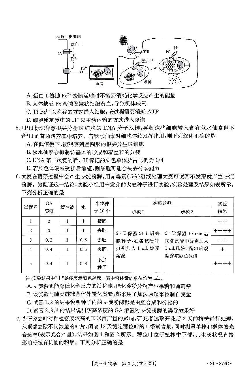 2024届河南省高三上学期期末考试(1月)-生物试题（含答案）第2页