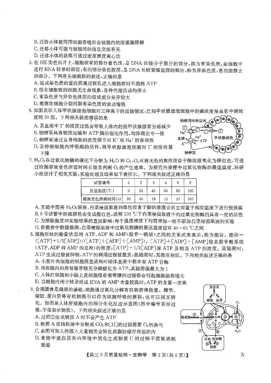 2024届河南省九师联盟高三上(9月质检)-生物试题（含答案）第2页