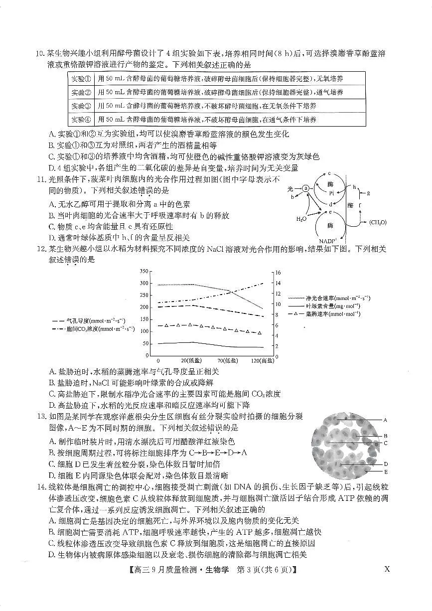 2024届河南省九师联盟高三上(9月质检)-生物试题（含答案）第3页