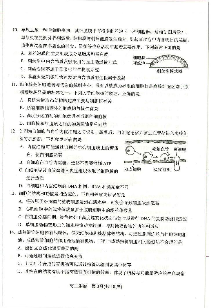 2024届河南省南阳市高二下学期（期末考）-生物试题（含答案）第2页