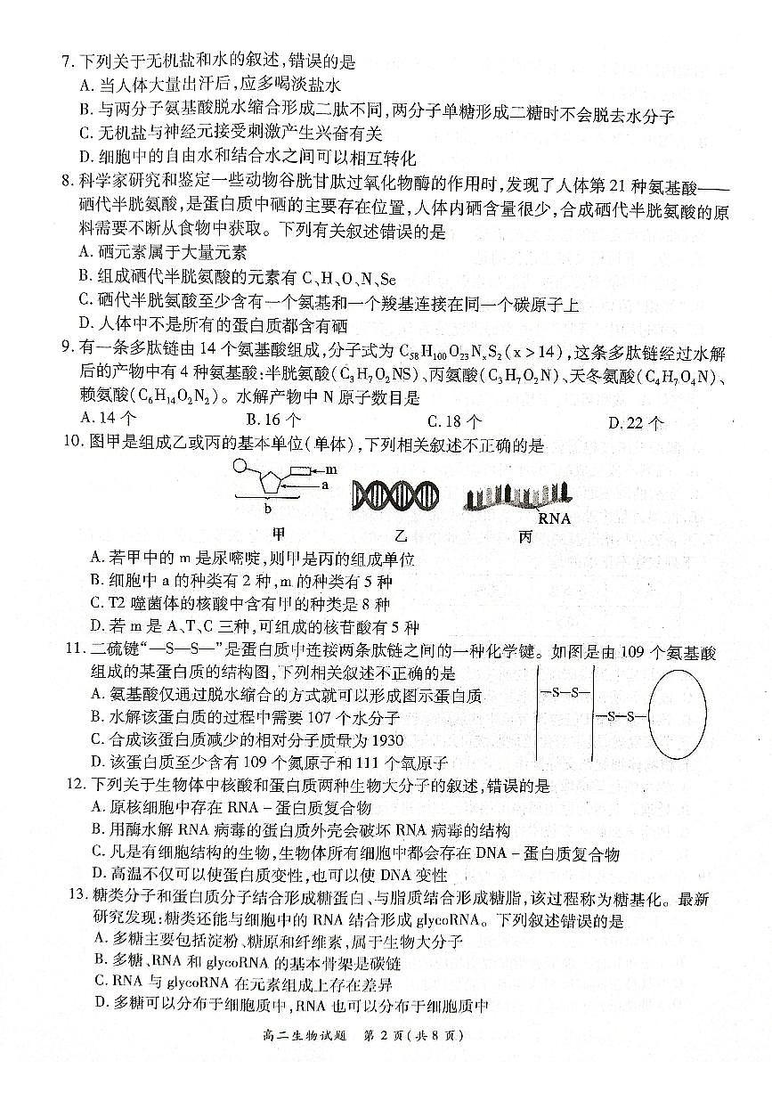 2024届河南省商丘市高二下学期（期末考）-生物试题（含答案）第2页