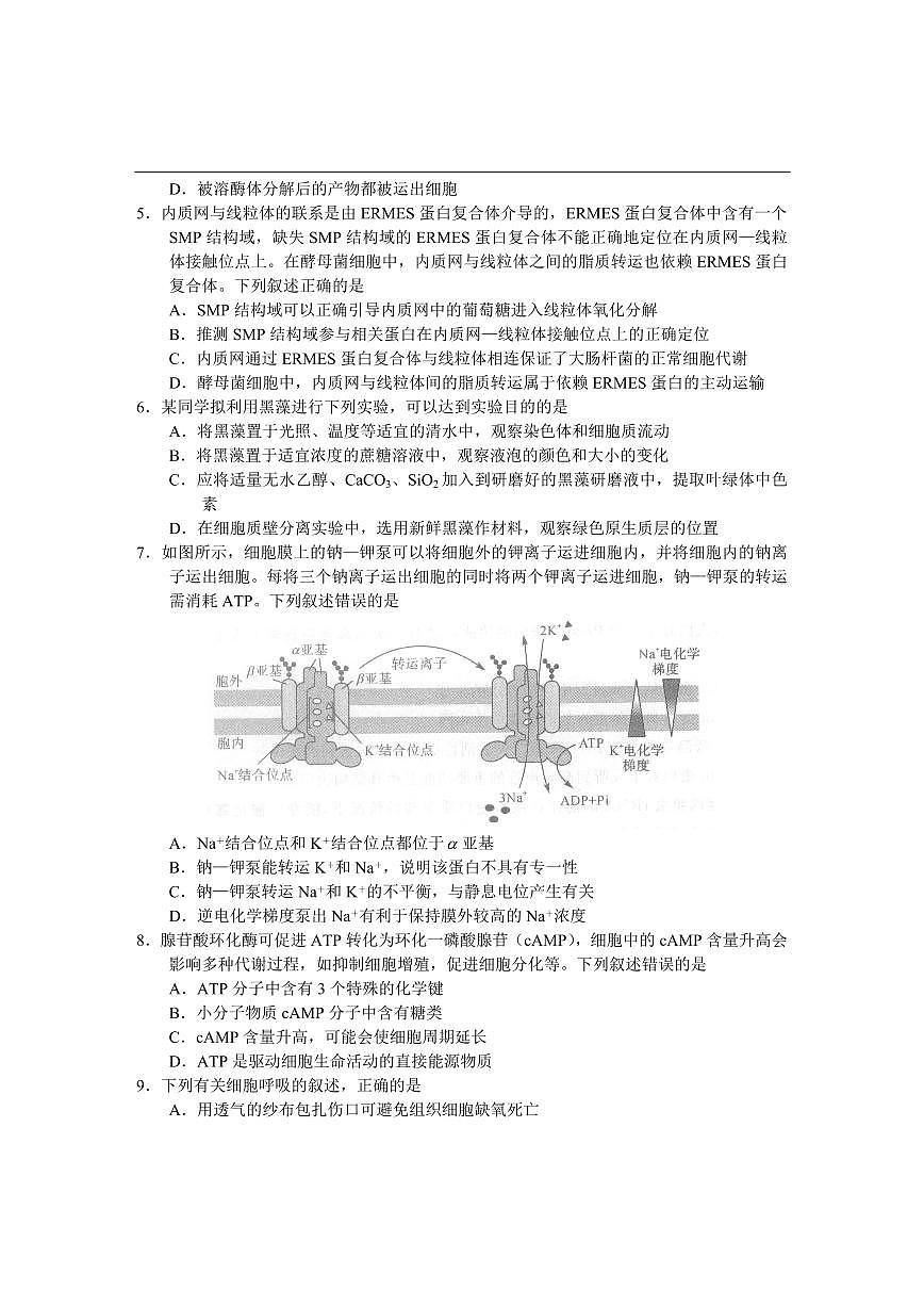2024届河南省中原名校联盟高三上学期9月调研考试-生物试题（含答案）第2页