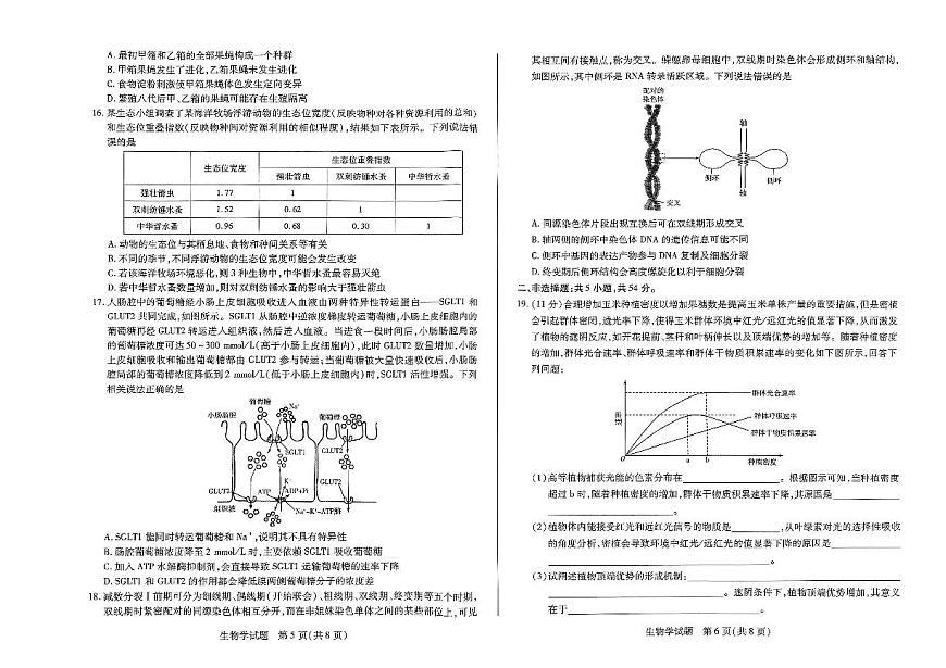 2024届河南天一大联考高三年级阶段性测试（一）生物试卷（含答案）第3页