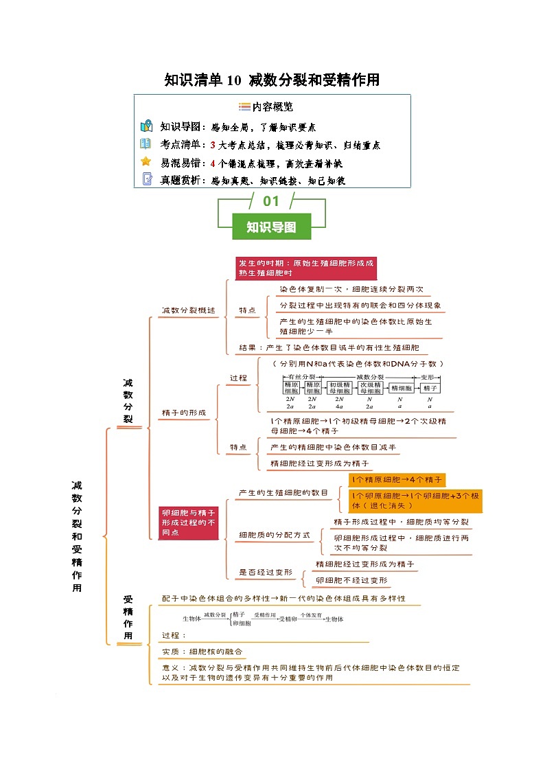 知识清单10+减数分裂和受精作用（3大考点+4个易错点）-2025年高考生物一轮复习知识清单第1页