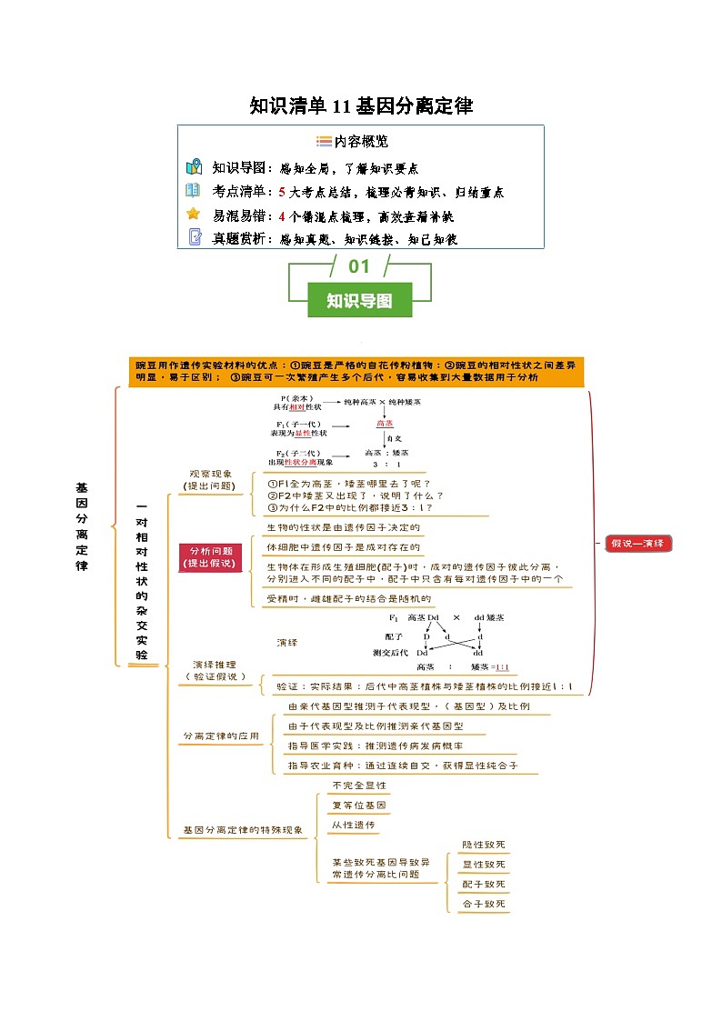 知识清单11 基因分离定律（5大考点 4个易错点）-2025年高考生物一轮复习知识清单第1页