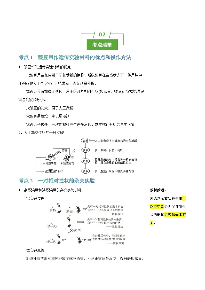 知识清单11 基因分离定律（5大考点 4个易错点）-2025年高考生物一轮复习知识清单第2页