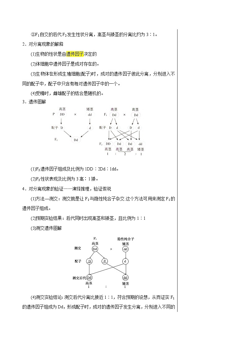 知识清单11 基因分离定律（5大考点 4个易错点）-2025年高考生物一轮复习知识清单第3页