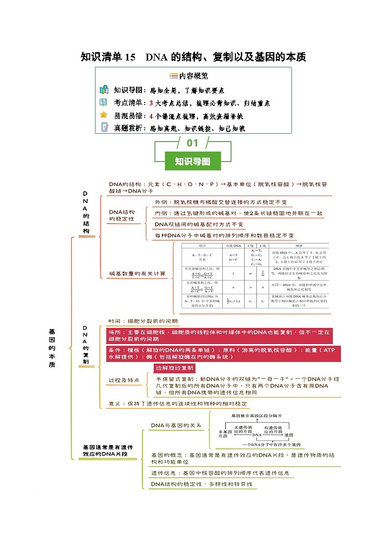 知识清单15 DNA的结构、复制以及基因的本质（3大考点 4个易错点）-2025年高考生物一轮复习知识清单第1页