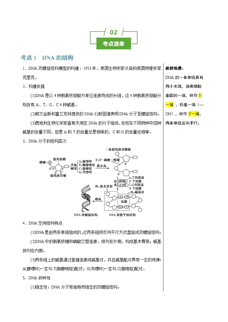 知识清单15 DNA的结构、复制以及基因的本质（3大考点 4个易错点）-2025年高考生物一轮复习知识清单第2页