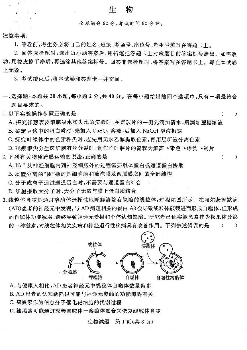 2024届普通高等学校招生全国统一考试青桐鸣大联考9月考试 生物试卷（含答案）第1页