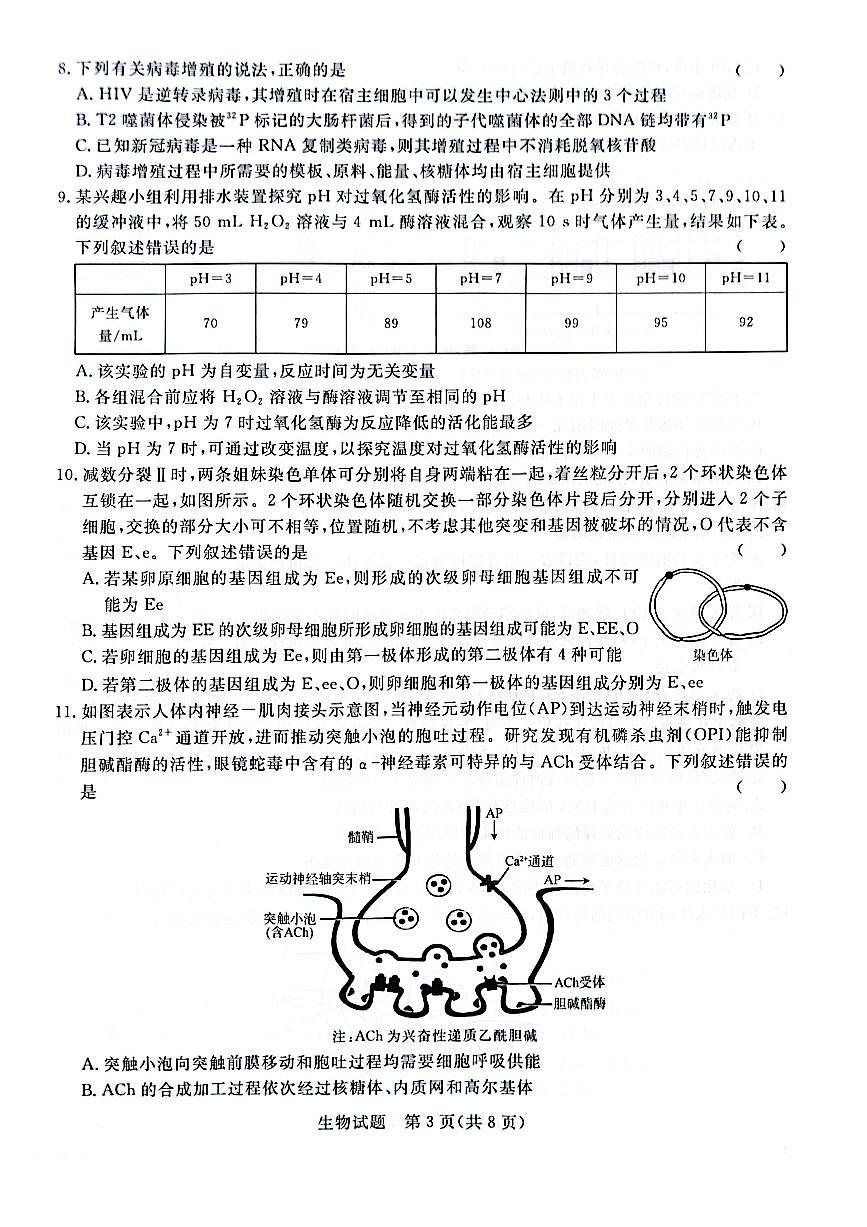2024届普通高等学校招生全国统一考试青桐鸣大联考9月考试 生物试卷（含答案）第3页