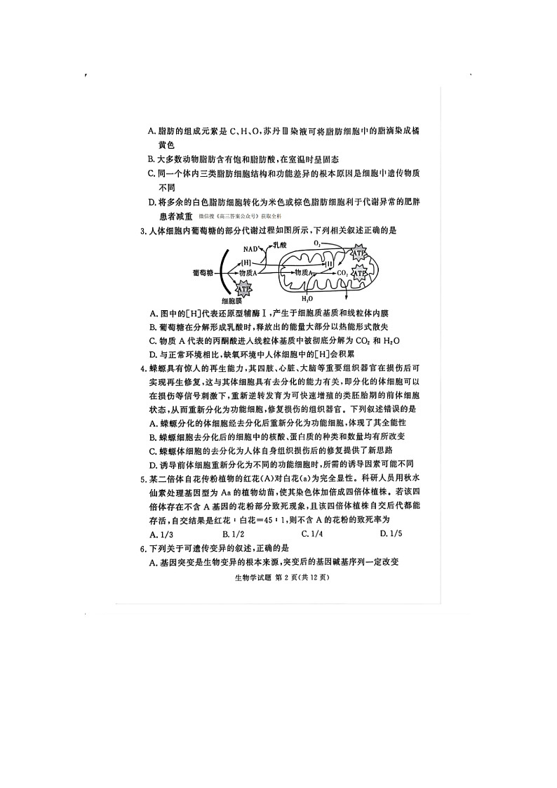 2024-2025学年下期河南湘豫名校高三下学期第二次模拟考试生物试卷含答案第2页