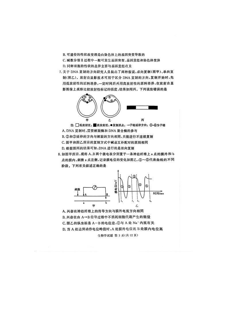 2024-2025学年下期河南湘豫名校高三下学期第二次模拟考试生物试卷含答案第3页