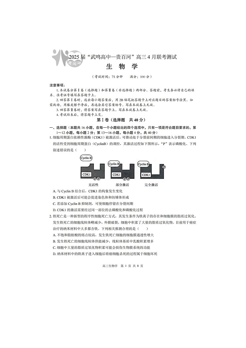 2024-2025学年下期广西贵百河高三4月联考生物试卷第1页