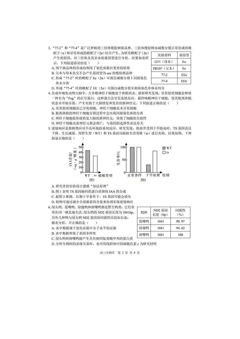 2024-2025学年下期广西贵百河高三4月联考生物试卷第2页
