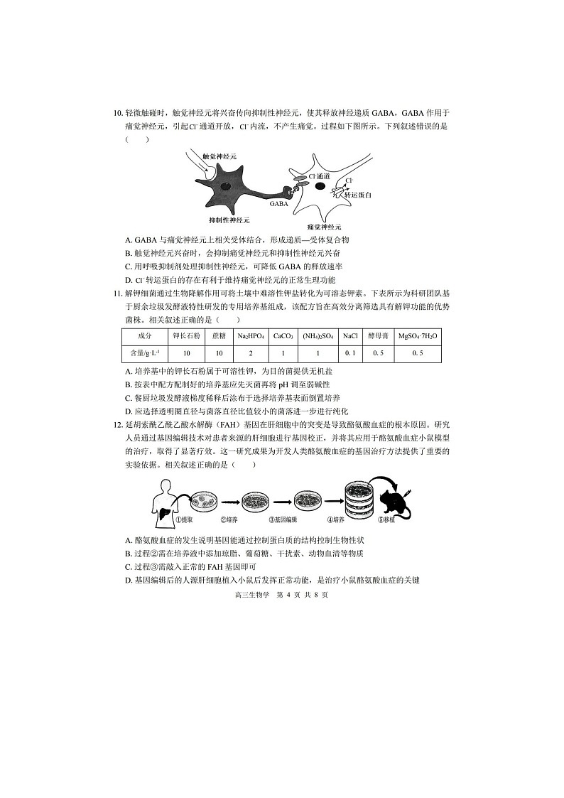 2024-2025学年下期广西贵百河高三4月联考生物试卷第3页