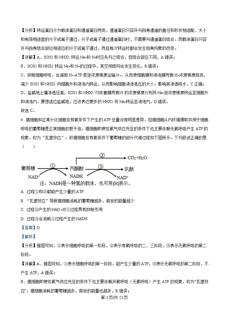 黑龙江省六校联考2024-2025学年高三上学期1月期末生物试卷 含解析第3页