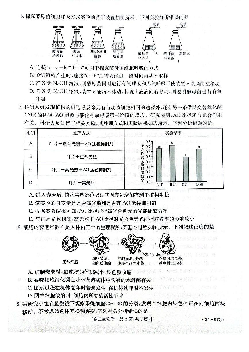 2024届河南省高三一轮复习检测（四）(10月)-生物试题（含答案）第2页