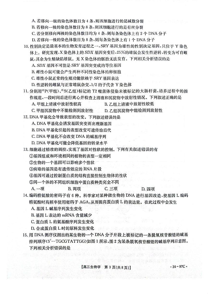 2024届河南省高三一轮复习检测（四）(10月)-生物试题（含答案）第3页