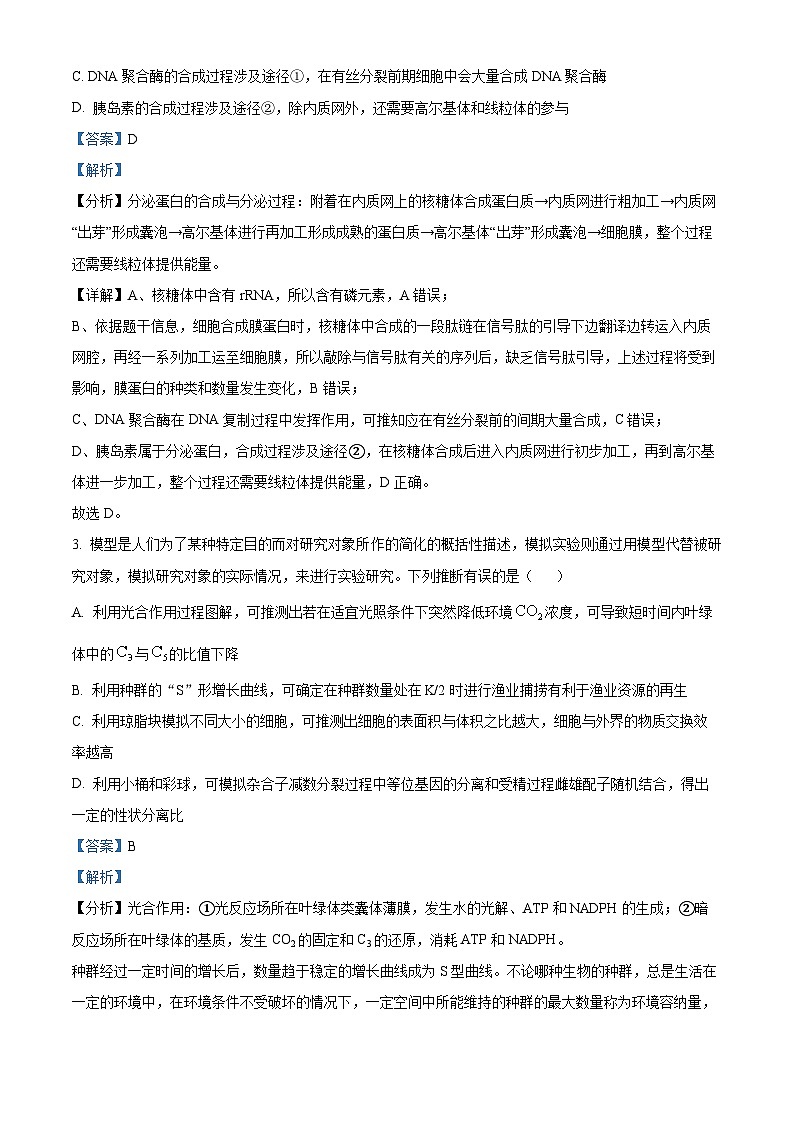 云南师范大学附属中学2024-2025学年高三下学期3月高考适应性月考卷（八）生物答案第2页