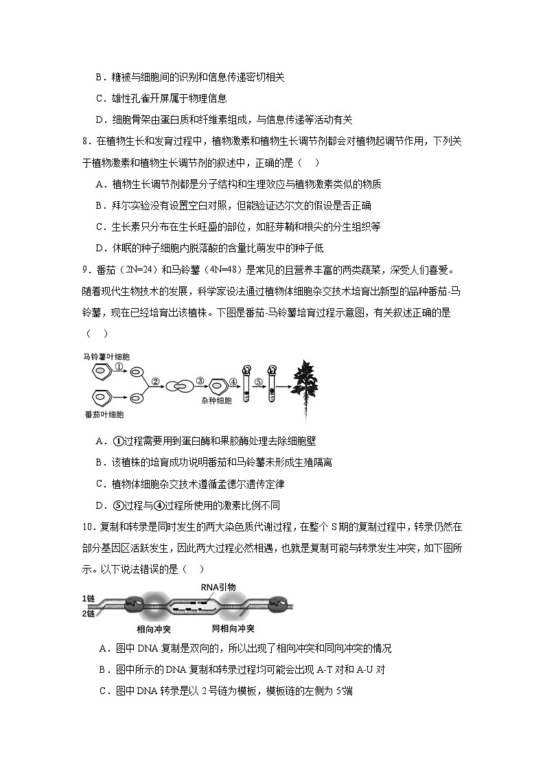 东北三省三校（哈大附中、东大附中、辽实）2025届高三下学期第二次联合模拟考试生物试题（无答案）第3页