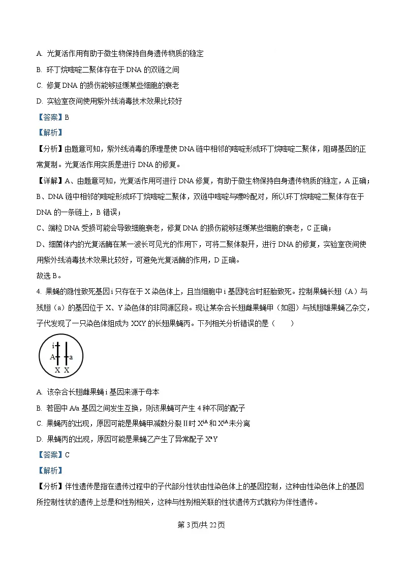 百师联盟2025届高三下学期3月联考生物试卷 含解析第3页