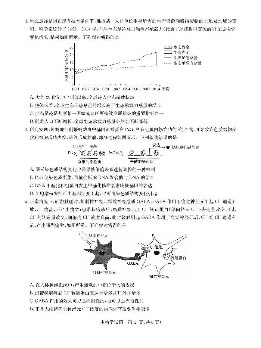 华大新高考联盟2025届高三下学期3月教学质量测评生物试卷（含解析）第2页
